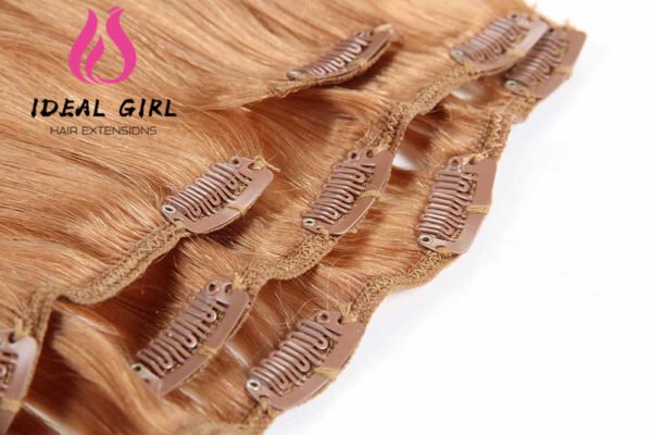 Clip-in Hair Extensions 14#